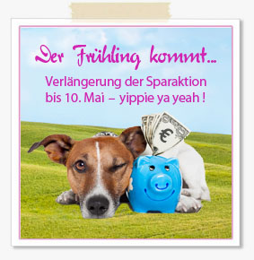 Fruehlingshund.jpg